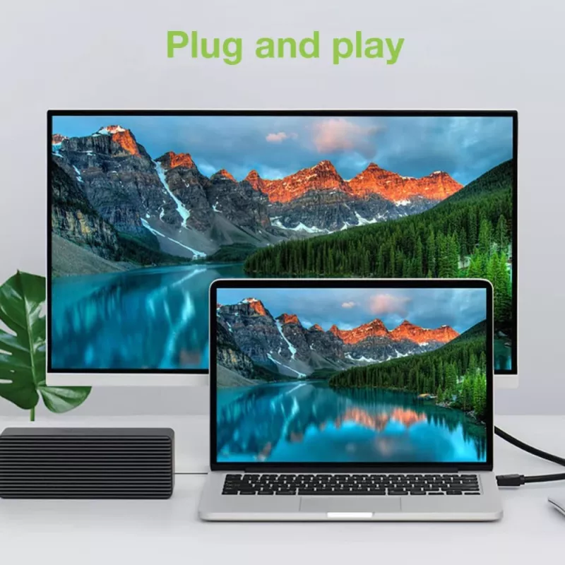 Techly Monitor DisplayPort į DVI laidas 2 m ICOC DSP-C-020