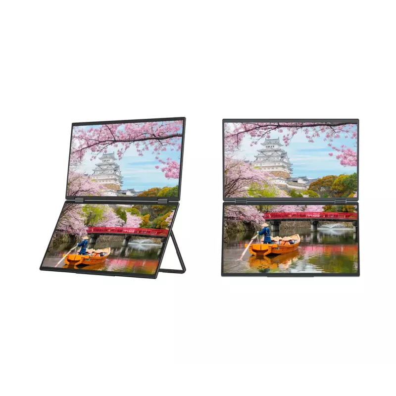 JAPANNEXT JN-DMD-IPS156F 39,6 cm (15,6 inch) Full HD LCD monitor, juodas