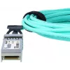 InfiniBand / šviesolaidinis kabelis SFP+ BlueOptics UACC-AOC-SFP10-30M-BO 30 m