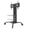 Techly ICA-TR8 stovas televizoriui ant ratų 177,8 cm (70 inch) juodas