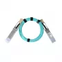 BlueOptics QSFP-AOC-1M-SW-BO InfiniBand aktyvus optinis kabelis 1 m, QSFP kištukas/kištukas