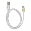 Techly ICOC MUSB20-CMAM10TW USB kabelis USB 2.0 1 m USB A USB C Baltas