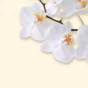 Dekoratyvinis popierius Sigel DP904 Baltas orchidėjų motyvas 50 lapų A4 90 g/m²