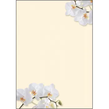 Dekoratyvinis popierius Sigel DP904 Baltas orchidėjų motyvas 50 lapų A4 90 g/m²