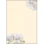 Dekoratyvinis popierius Sigel DP904 Baltas orchidėjų motyvas 50 lapų A4 90 g/m²
