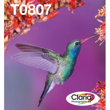 Rašalo kasečių rinkinys Epson Hummingbird T0807 — 6 spalvų (Juoda, Cian, Šviesiai cian, Šviesiai purpurinė, Purpurinė, Geltona)