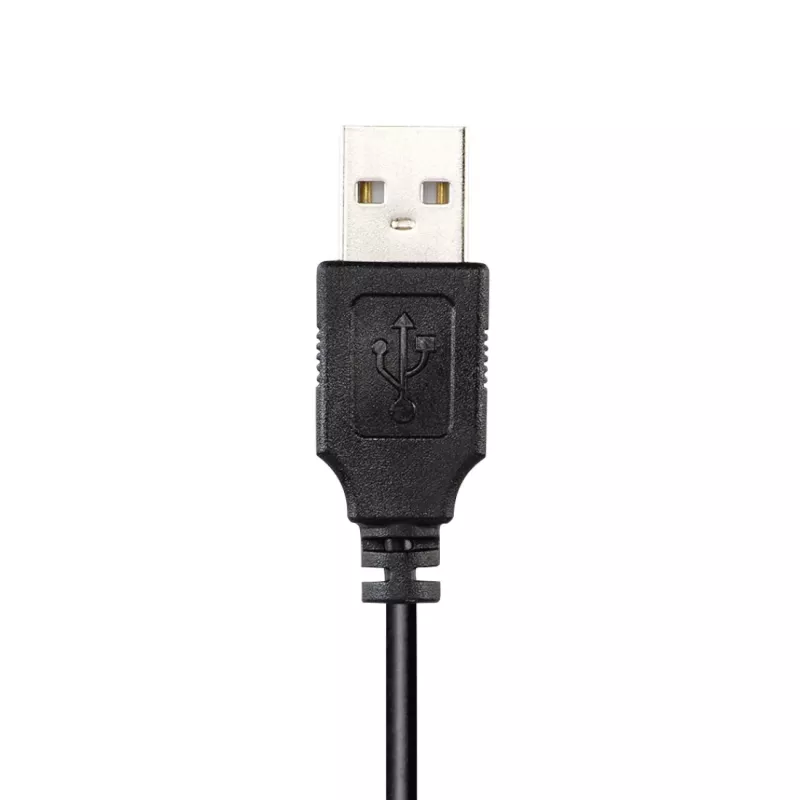Hama HS-USB300 PC biuro ausinės, laidinės, USB, juodos