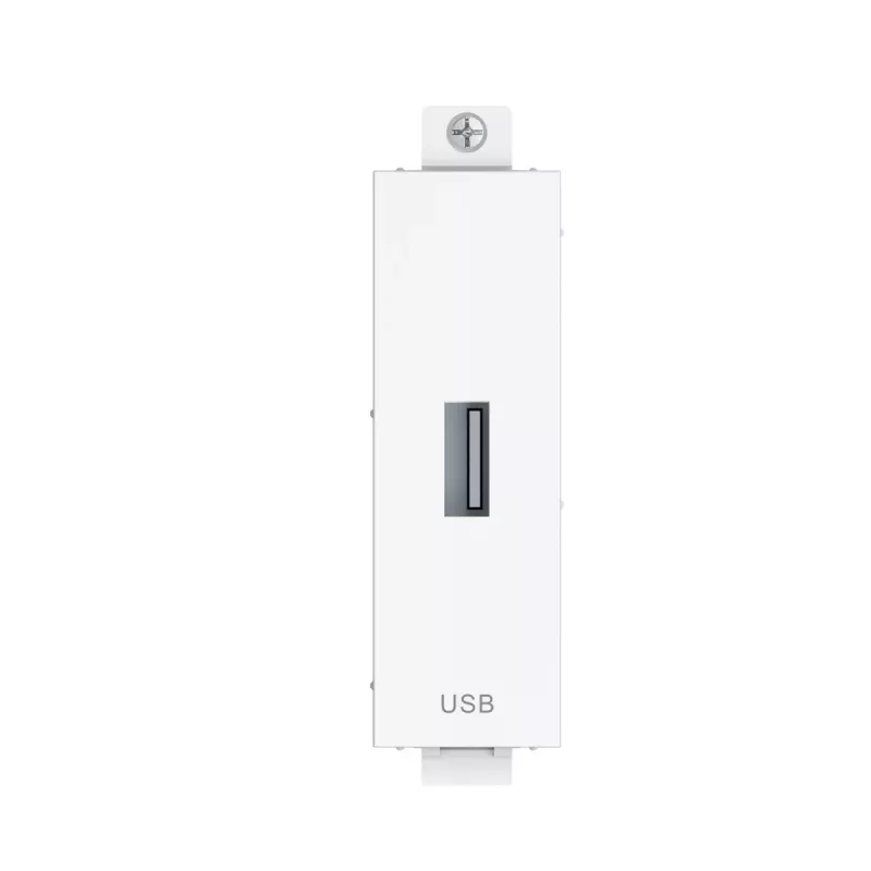 Kištukinis lizdas su USB jungtimi Vision TC3 USBA