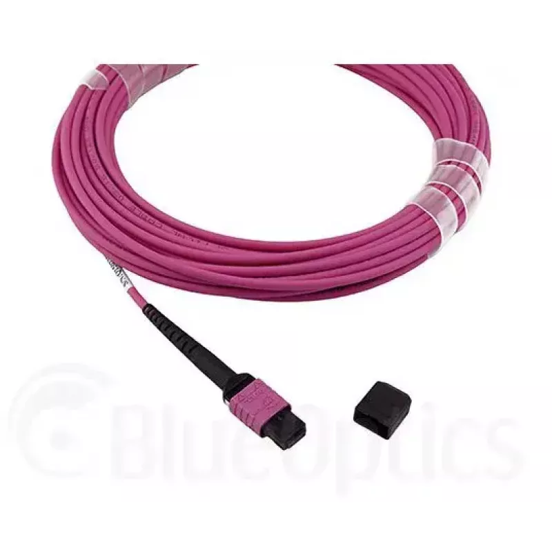 BlueOptics EMC CBL-MPO12-4LC-OM4-2M šviesolaidinis kabelis MPO 4x LC 2 m