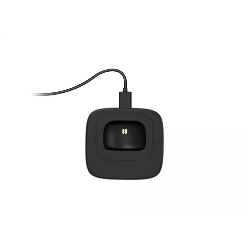 Conceptronic POLONA Belaidė Bluetooth ausinė su įkrovimo stotele ir Bluetooth USB garso adapteriu