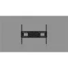 TV laikiklis sieninis Vision VFM-W8X6
