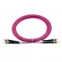 BlueOptics SFP3333FU2MK InfiniBand šviesolaidinis kabelis 2 m ST
