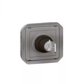 Jungiklis Legrand 069534L Plexo Ronis pilkas