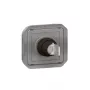 Jungiklis Legrand 069534L Plexo Ronis pilkas