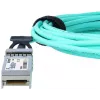 BlueOptics UACC-AOC-SFP28-30M-BO InfiniBand aktyvus optinis kabelis 30m SFP28