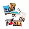HP matinis foto popierius 180 g/m² 10 x 15 cm (101 x 152 mm) 25 lapų