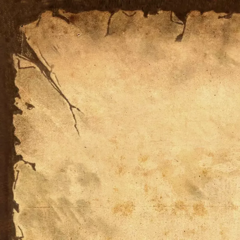 Meninis popierius Sigel DP240 50 lapų