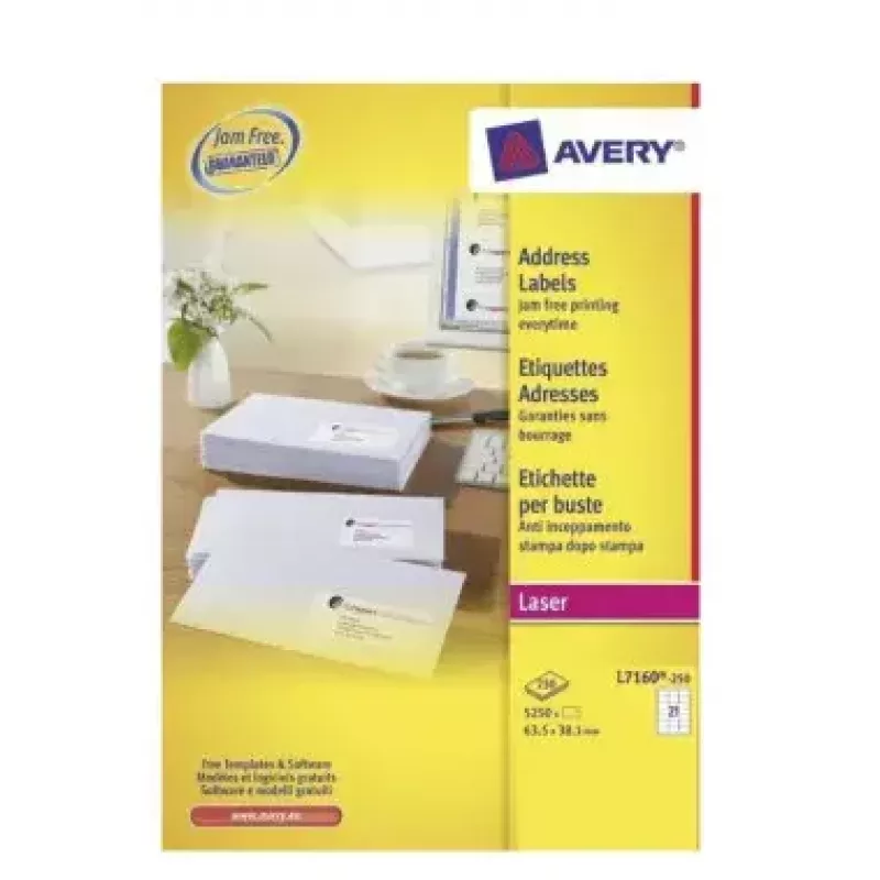 Lipni etiketė Avery L7160-250