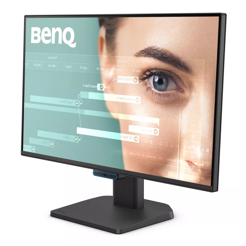 Monitorius BenQ GW2490C 23,8 colio (60,5 cm) Full HD 1920×1080 5 ms 178° VESA juodas su garsiakalbiais