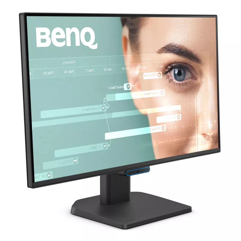 Monitorius BenQ GW2490C 23,8 colio (60,5 cm) Full HD 1920×1080 5 ms 178° VESA juodas su garsiakalbiais