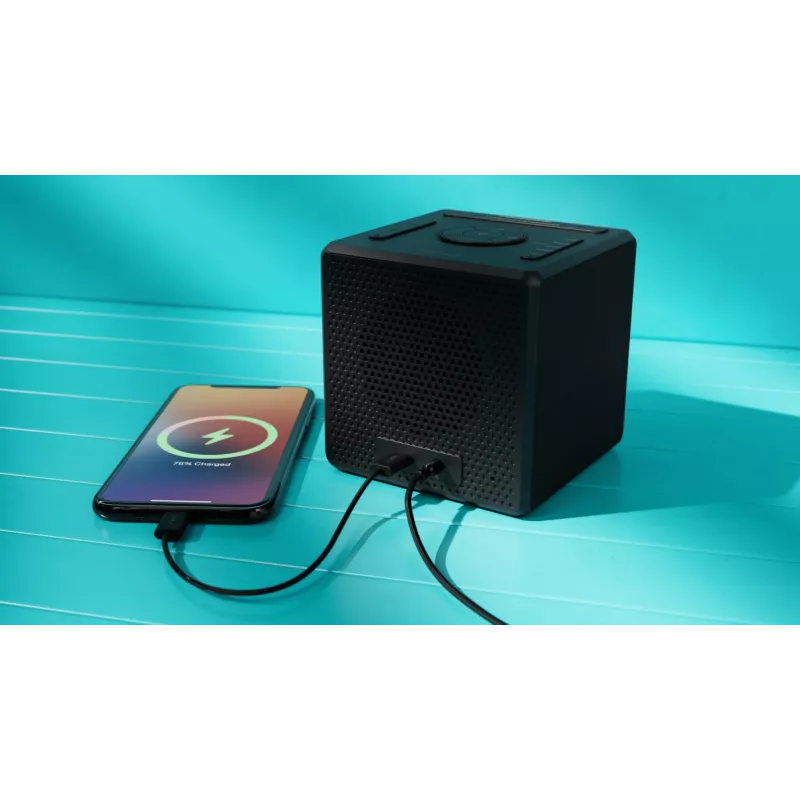 Skaitmeninis žadintuvas Philips TAR4600/10 Juodas LCD AC/Baterija