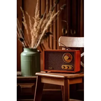 Nešiojamas radijo imtuvas Adler AD 1171 – AM/FM, 10 W RMS, Bluetooth, išorinė antena, bronzinis, 290×200×172 mm