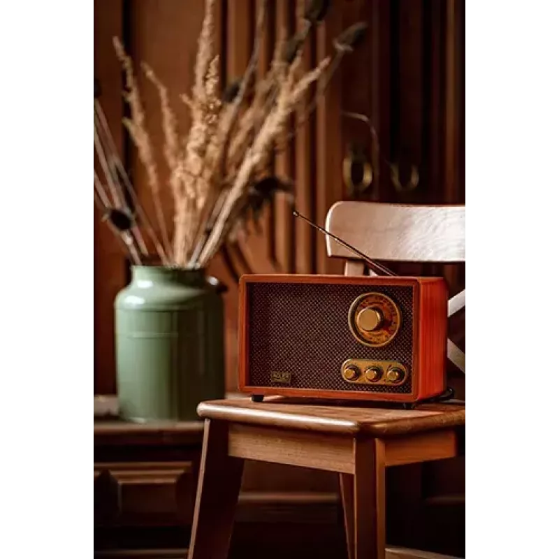 Nešiojamas radijo imtuvas Adler AD 1171 – AM/FM, 10 W RMS, Bluetooth, išorinė antena, bronzinis, 290×200×172 mm