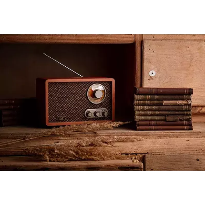 Nešiojamas radijo imtuvas Adler AD 1171 – AM/FM, 10 W RMS, Bluetooth, išorinė antena, bronzinis, 290×200×172 mm