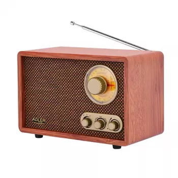 Nešiojamas radijo imtuvas Adler AD 1171 – AM/FM, 10 W RMS, Bluetooth, išorinė antena, bronzinis, 290×200×172 mm