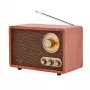 Nešiojamas radijo imtuvas Adler AD 1171 – AM/FM, 10 W RMS, Bluetooth, išorinė antena, bronzinis, 290×200×172 mm