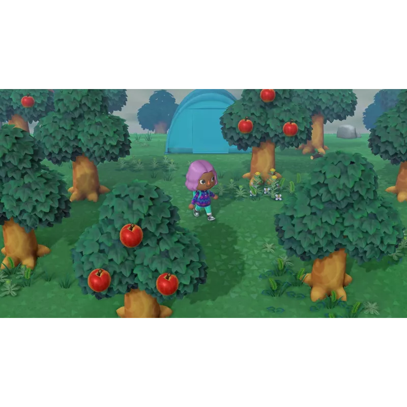 Nintendo Animal Crossing: New Horizons standartinis vokiečių, anglų k. Nintendo Switch