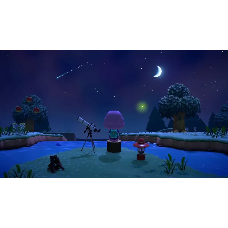 Nintendo Animal Crossing: New Horizons standartinis vokiečių, anglų k. Nintendo Switch