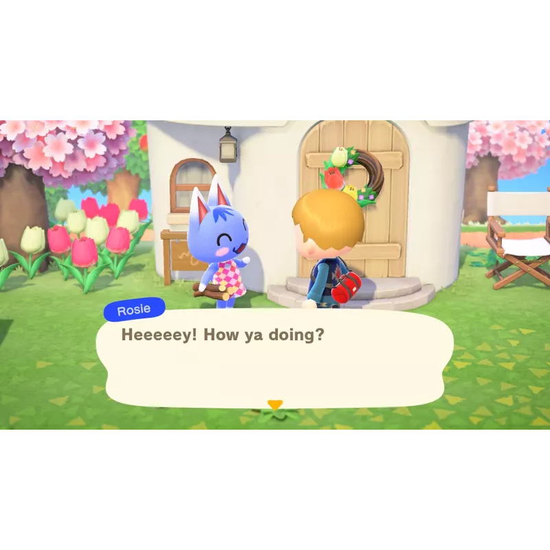 Nintendo Animal Crossing: New Horizons standartinis vokiečių, anglų k. Nintendo Switch