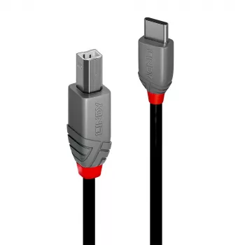 Lindy 2m USB 2.0 Type C į B laidas, Anthra Line