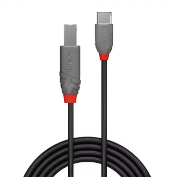 Lindy 2m USB 2.0 Type C į B laidas, Anthra Line