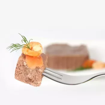 Šlapias kačių ėdalas animonda Vom Feinsten Mature Salmon 100 g – suaugusioms katėms, padėklas, be glitimo ir sojos
