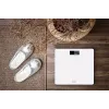 Adler AD 8157W elektroninės asmeninės svarstyklės