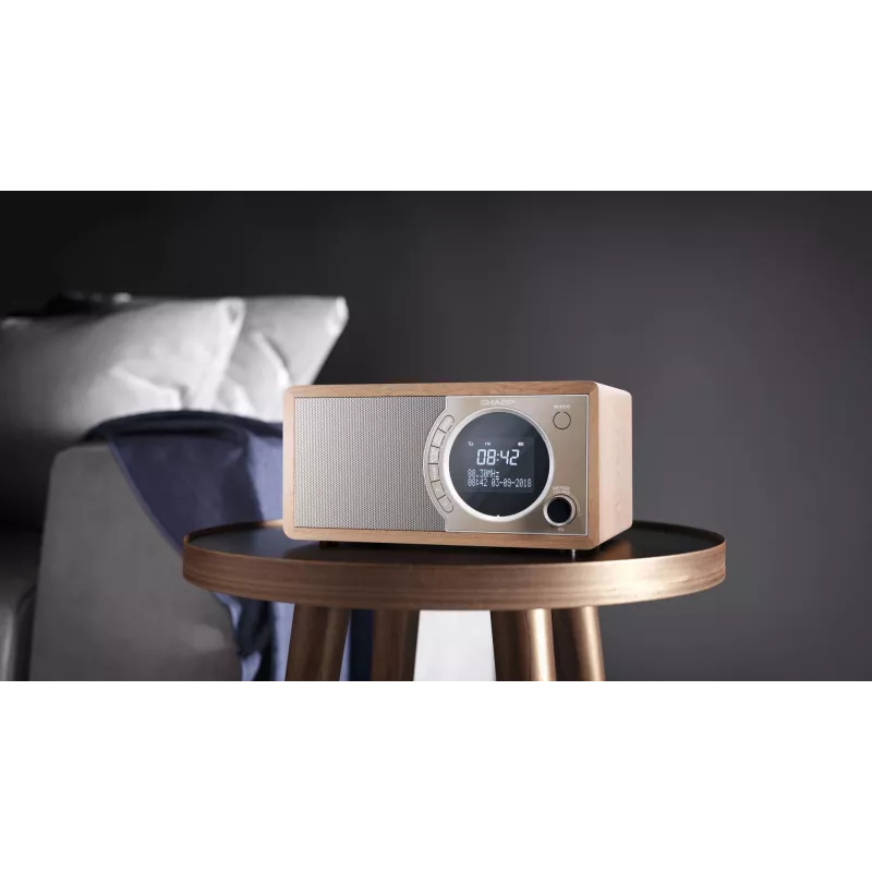 Sharp DR-450 asmeninis skaitmeninis radijas, ruda, nerūdijantis plienas