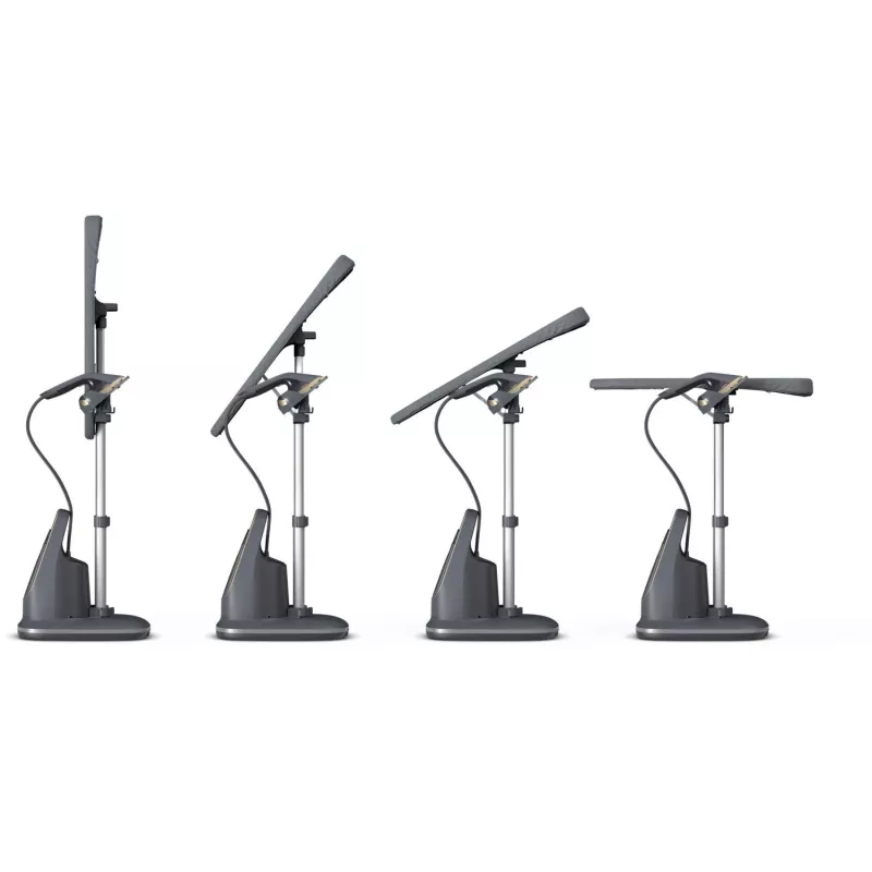 Philips AIS8540 vertikalus garinis lygintuvas 1.2 L 2200 W juodas