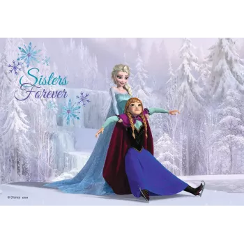 Dėlionė Ravensburger Sisters Always (2×24 detalės)