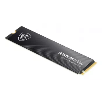 MSI Spatium M560 PCIe 5.0 NVMe M.2 2 TB SSD