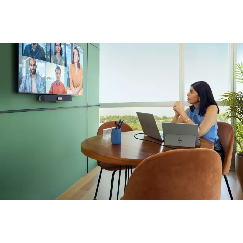 HP Series 5 Pro 14 colių WQXGA nešiojamas monitorius - 514pn