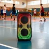 Garsiakalbių sistema BLAUPUNKT PB60X — 120W RMS, Bluetooth A2DP, FM, LED ekranas, 7000mAh baterija, 18h, AUX, nuotolinio valdymo pultas, 568×322×321 mm