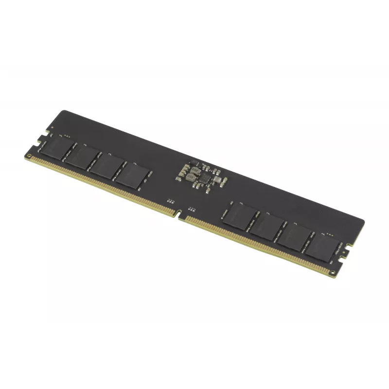 Goodram Pami DDR5 16GB/4800 CL40 - 16 GB atminties modulis 1 x 16 GB 288-pin DIMM ECC