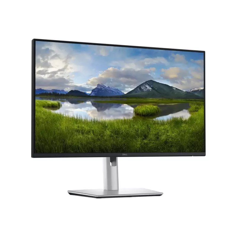 Dell P2425DE | 24 colių | IPS | 16:9 | 100 Hz | 5 ms | 2560 x 1440 pikseliai | 350 cd/m² | 1x HDMI | 60 mėn. garantija