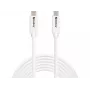 Sandberg USB-C į USB-C laidas, USB 3.2 Gen2, 100W, 3 m, baltas