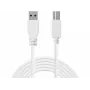Sandberg USB 3.0 A-B kabelis 1,8 m, USB A, USB B, USB 3.2 Gen 1, 5 Gbit/s, baltas
