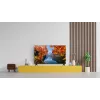 TCL 32V4C QLED televizorius 32 colių (81,3 cm) HD 1366×768 Wi-Fi Ethernet Juodas