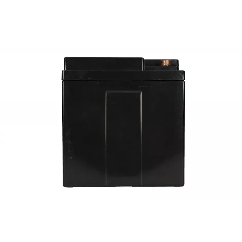Extralink AGM sandarioji švino-rūgšties baterija 12V 40Ah nereikalaujanti priežiūros, VRLA, 12,2 kg