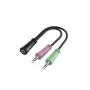 Hama 00200351 garso laidas 0,15 m 3,5 mm TRS 2 x 3,5 mm juodas